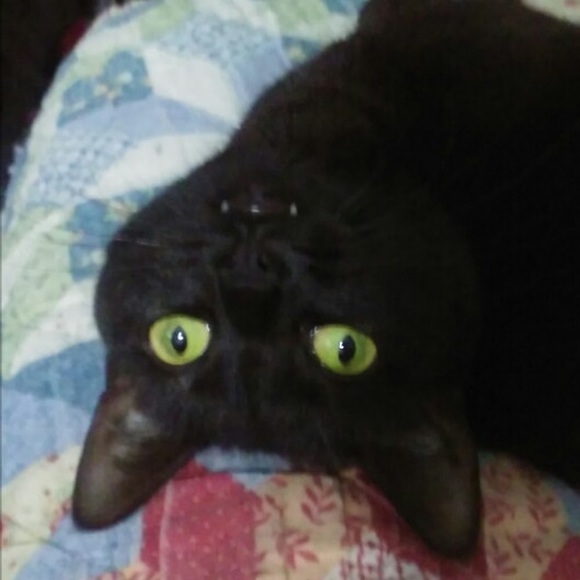 Meet your Posher, Ebah - Picture 1 of 1